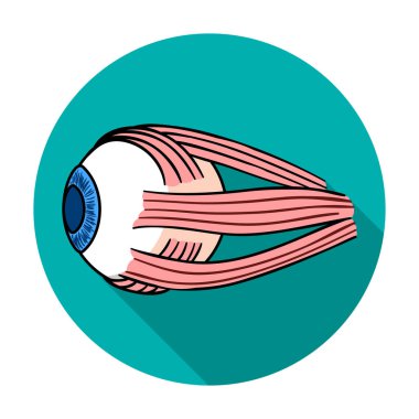 Düz stil beyaz arka plan üzerinde izole insan göz küresi simgesini. İnsan organlarını hisse senedi vektör çizim sembolü.