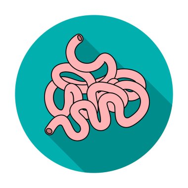 Düz stil beyaz arka plan üzerinde izole insan ince bağırsak simgesini. İnsan organlarını hisse senedi vektör çizim sembolü.
