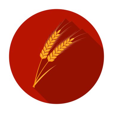 Buğday makarna simgesi beyaz arka plan üzerinde izole düz stilde kulaklar. Makarna sembol stok tür illüstrasyon vektör.