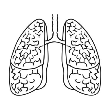 İnsan akciğerleri simgesi beyaz arka plan üzerinde izole anahat tarzı. İnsan organlarını hisse senedi vektör çizim sembolü.