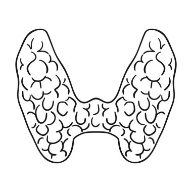 İnsan tiroid simgesi beyaz arka plan üzerinde izole anahat tarzı. İnsan organlarını hisse senedi vektör çizim sembolü.