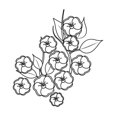 Sakura çiçek simgesi beyaz arka plan üzerinde izole anahat tarzı. Japonya sembol stok vektör çizim.