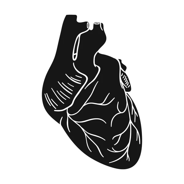 Icono del corazón humano en estilo negro aislado sobre fondo blanco. Organos humanos símbolo stock vector ilustración . — Vector de stock