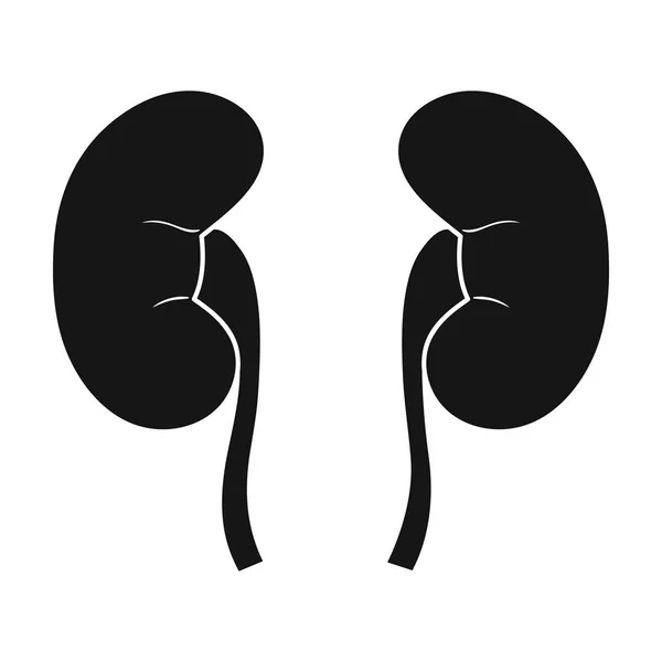 白い背景に分離された黒のスタイルで人間の腎臓のアイコン。人間の臓器シンボル株式ベクトル図. — ストックベクタ