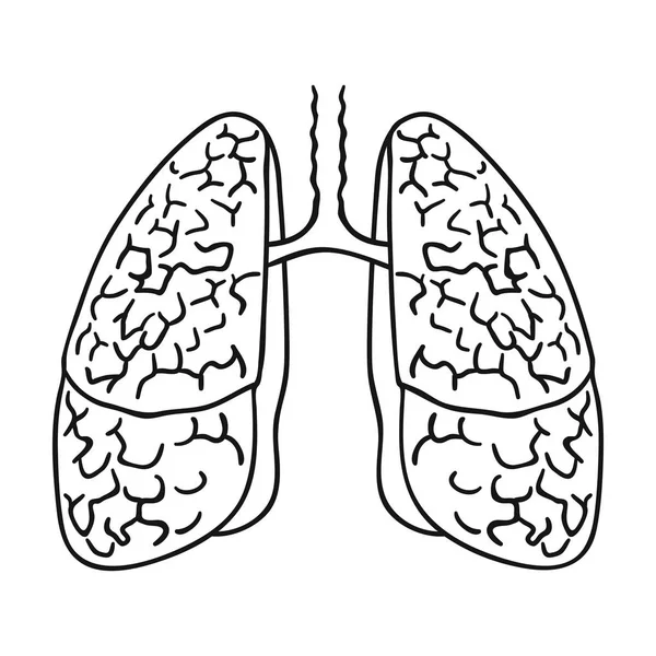 Icono de pulmones humanos en estilo de contorno aislado sobre fondo blanco. Organos humanos símbolo stock vector ilustración . — Vector de stock