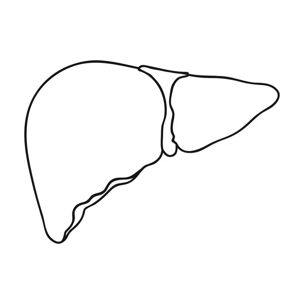 Ícone de fígado humano em estilo esboço isolado no fundo branco. Órgãos humanos símbolo estoque vetor ilustração . — Vetor de Stock