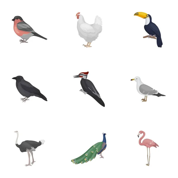 Vogel setzte Symbole im Cartoon-Stil. Große Sammlung von Vogel-Vektor-Symbolen — Stockvektor