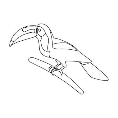 Beyaz arka plan üzerinde izole anahat tarzı Meksikalı salma gagalı Tukan simgesi. Meksika ülke sembol stok vektör çizim.