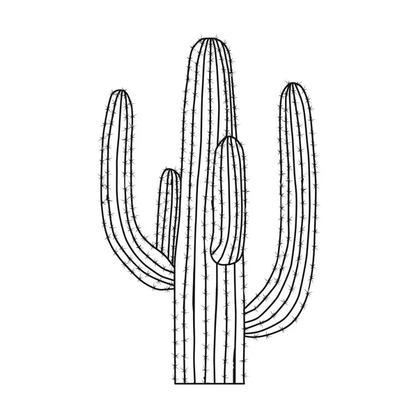 Icono de cactus mexicano en estilo de contorno aislado sobre fondo blanco. México país símbolo stock vector ilustración . — Vector de stock