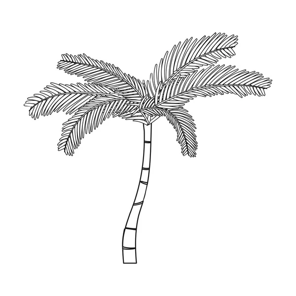 Beyaz arka plan üzerinde izole anahat tarzı Meksikalı fan palmiye simgesi. Meksika ülke sembol stok vektör çizim. — Stok Vektör