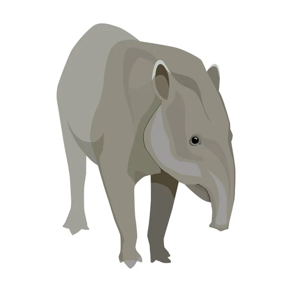 Mexikanska tapir ikonen i tecknad stil isolerad på vit bakgrund. Mexiko land symbol lager vektorillustration. — Stock vektor