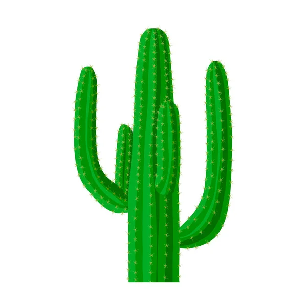 Icône de cactus mexicain dans le style de dessin animé isolé sur fond blanc. Mexique pays symbole illustration vectorielle de stock . — Image vectorielle
