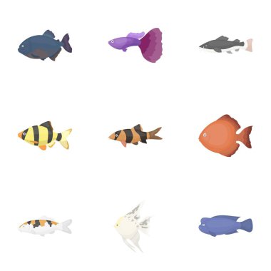 Akvaryum balık karikatür tarzı simgeleri ayarlayın. Akvaryum balık büyük toplama sembol stok illüstrasyon vektör