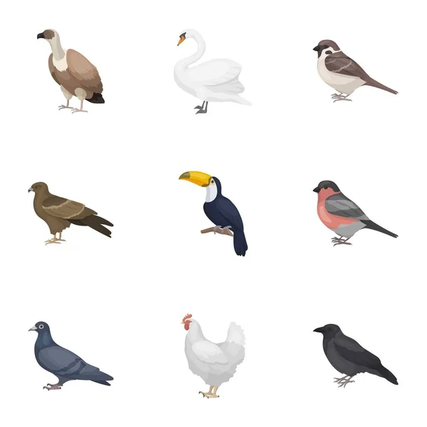 Bird estableció iconos en estilo de dibujos animados. Gran colección de aves vector símbolo stock ilustración — Archivo Imágenes Vectoriales