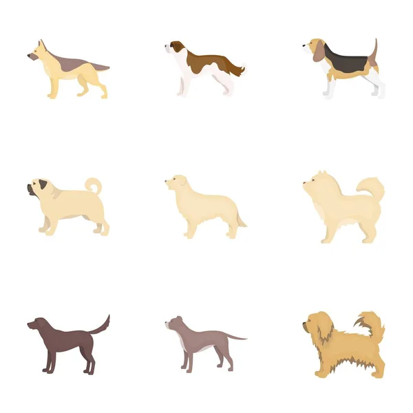 Las razas de perros establecen iconos en estilo de dibujos animados. Gran colección de razas de perros vector símbolo stock ilustración — Vector de stock