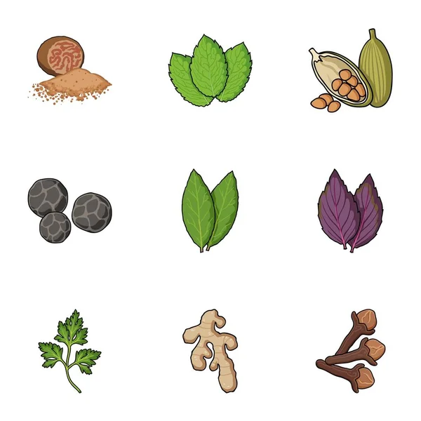 Herb dan rempah-rempah menetapkan ikon dalam gaya kartun. Koleksi besar herbal dan rempah-rempah vektor simbol saham ilustrasi - Stok Vektor