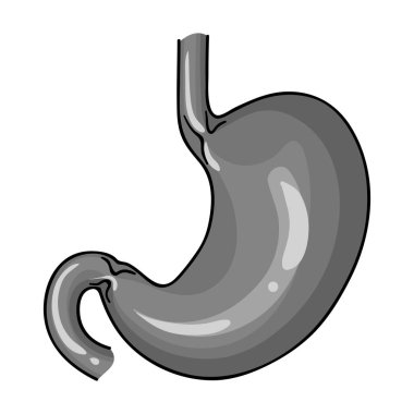 Tek renkli stil beyaz arka plan üzerinde izole insan mide simgesini. İnsan organlarını hisse senedi vektör çizim sembolü.