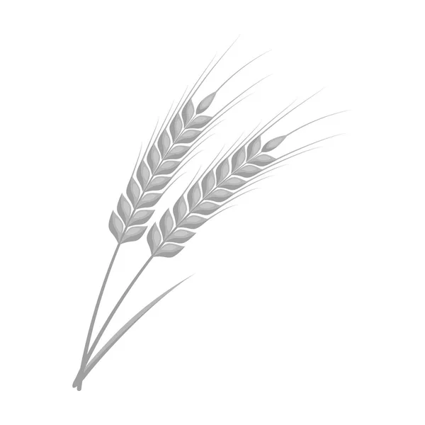 Orejas de trigo icono de pasta en estilo monocromo aislado sobre fondo blanco. Tipos de pasta símbolo stock vector ilustración . — Vector de stock
