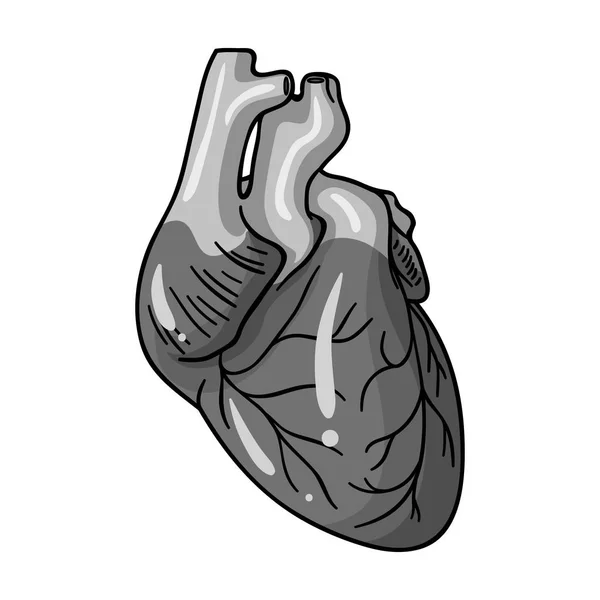 Icône coeur humain en style monochrome isolé sur fond blanc. Organes humains symbole illustration vectorielle de stock . — Image vectorielle
