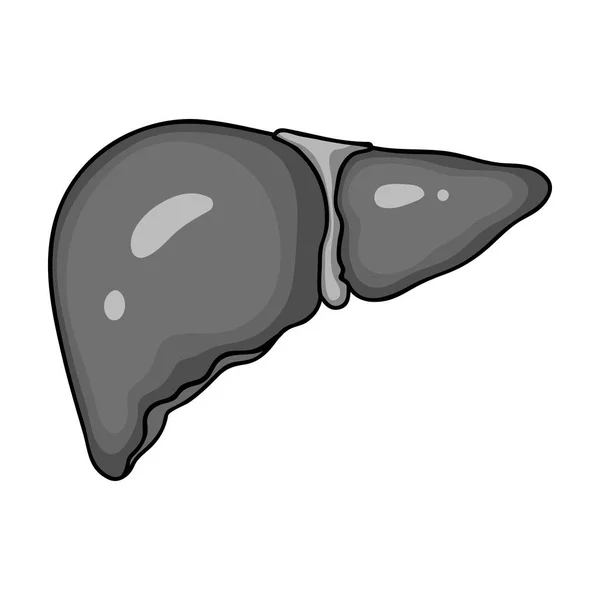 Icono del hígado humano en estilo monocromo aislado sobre fondo blanco. Organos humanos símbolo stock vector ilustración . — Vector de stock