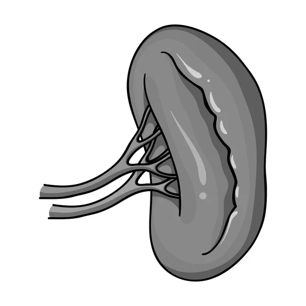 Icono de riñón humano en estilo monocromo aislado sobre fondo blanco. Organos humanos símbolo stock vector ilustración . — Vector de stock