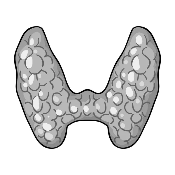 Icono tiroideo humano en estilo monocromo aislado sobre fondo blanco. Organos humanos símbolo stock vector ilustración . — Archivo Imágenes Vectoriales