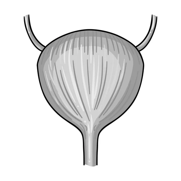 Ícone da bexiga urinária humana em estilo monocromático isolado sobre fundo branco. Órgãos humanos símbolo estoque vetor ilustração . —  Vetores de Stock