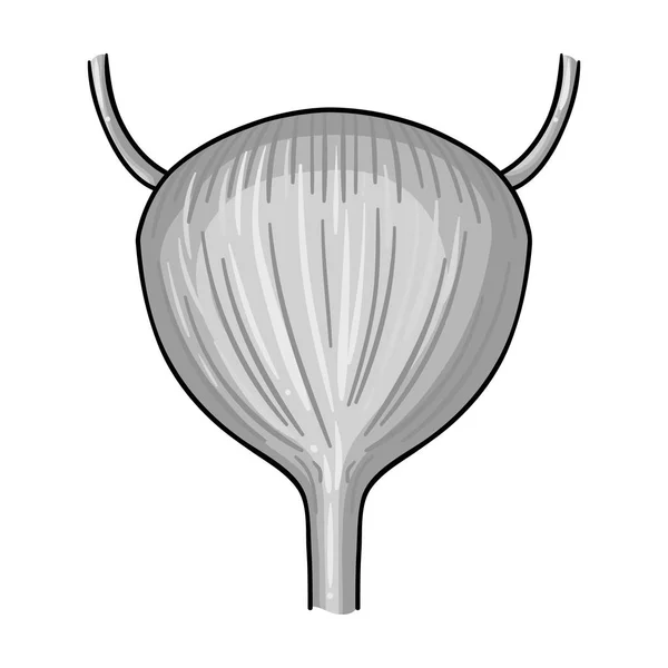 Lidského močového měchýře ikona v monochromatickém stylu izolovaných na bílém pozadí. Lidské orgány symbol akcií vektorové ilustrace. — Stockový vektor