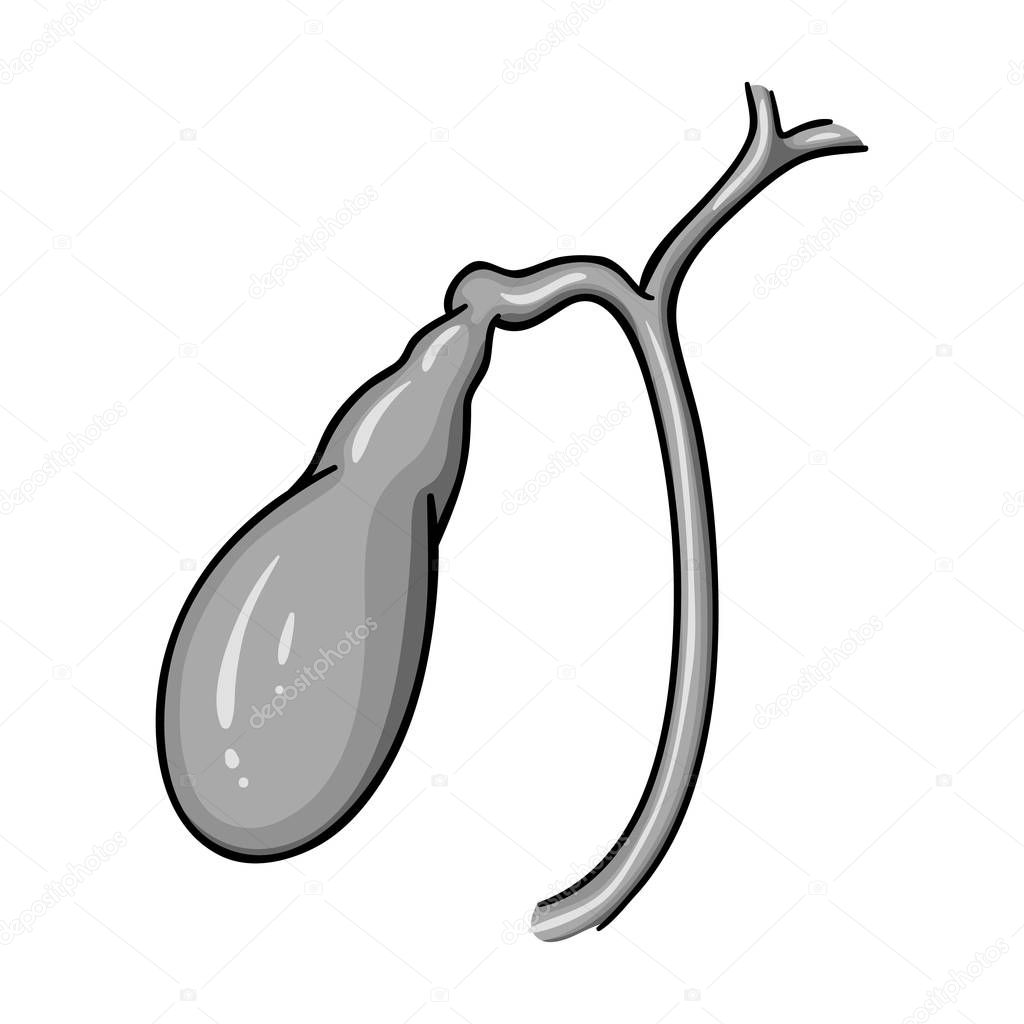 Human gallbladder icon in monochrome style isolated on white background. Human organs symbol vector illustration.