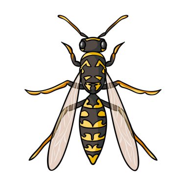 Wasp simgesi beyaz arka plan üzerinde izole karikatür tarzı. Böcekler sembol stok vektör çizim.