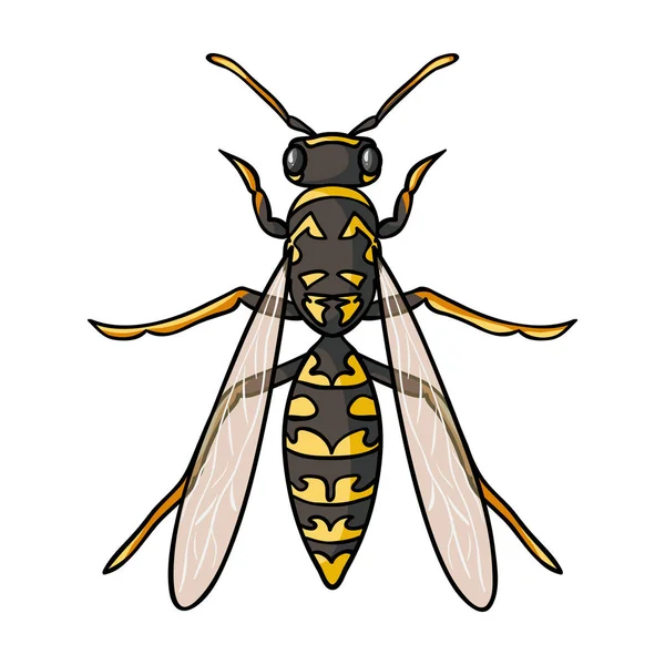 Icono de avispa en estilo de dibujos animados aislado sobre fondo blanco. Ilustración de vector de stock de símbolos de insectos . — Vector de stock