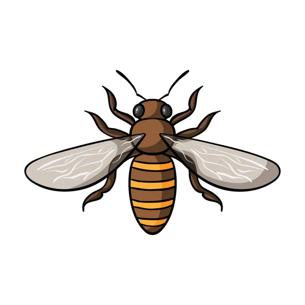 Icono de abeja en estilo de dibujos animados aislado sobre fondo blanco. Ilustración de vector de stock de símbolos de insectos . — Vector de stock