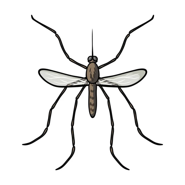 Icona zanzara in stile cartone animato isolata su sfondo bianco. Insetti simbolo stock vettoriale illustrazione . — Vettoriale Stock