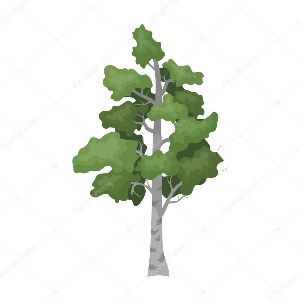 Birch tree icon in cartoon style isolated on white