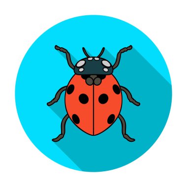 Uğur böceği simgesini düz stil beyaz arka plan üzerinde izole. Böcekler sembol stok vektör çizim.