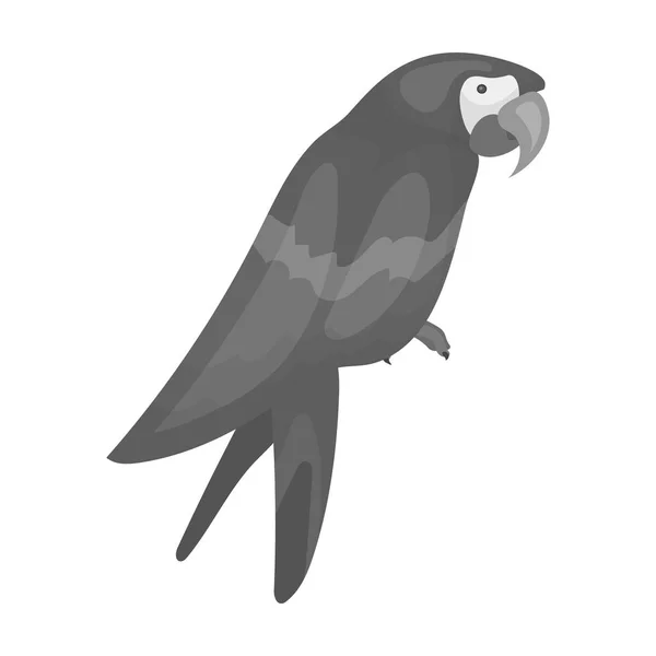 Pirates parrot icon in monochrome style isolated on white background. Pirates symbol stock vector illustration. — Stock Vector