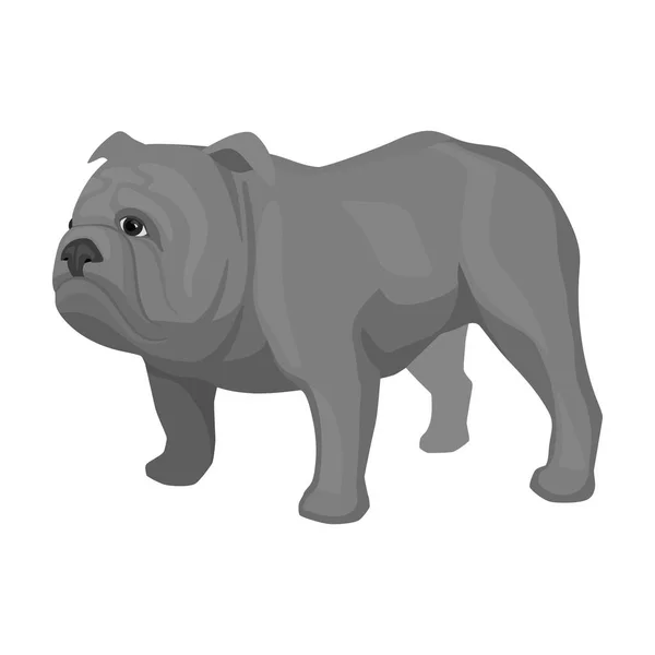 Icône bulldog anglais dans un style monochrome isolé sur fond blanc. Angleterre pays symbole illustration vectorielle de stock . — Image vectorielle