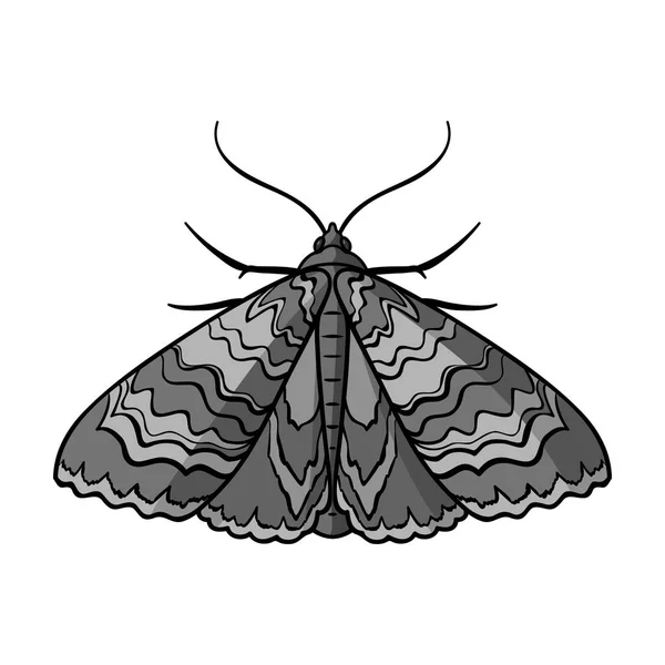 Иконка Moth в монохромном стиле выделена на белом фоне. Векторная иллюстрация символов насекомых . — стоковый вектор