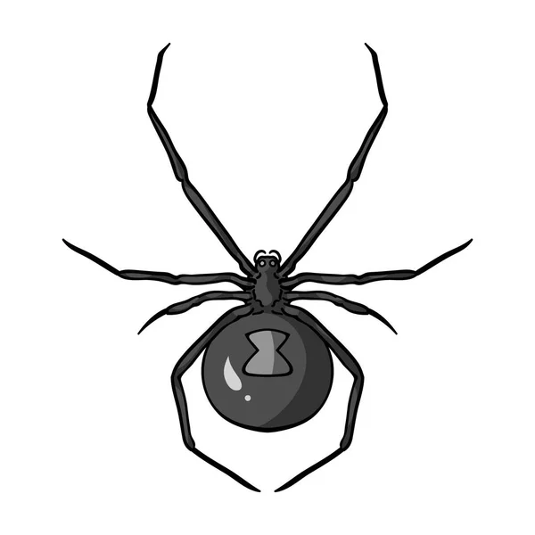 Icono de araña viuda negra en estilo monocromo aislado sobre fondo blanco. Ilustración de vector de stock de símbolos de insectos . — Vector de stock