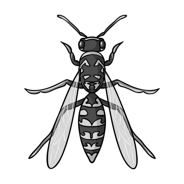 Ikon tawon dalam gaya monokrom diisolasi pada latar belakang putih. Ilustrasi stok simbol serangga . - Stok Vektor