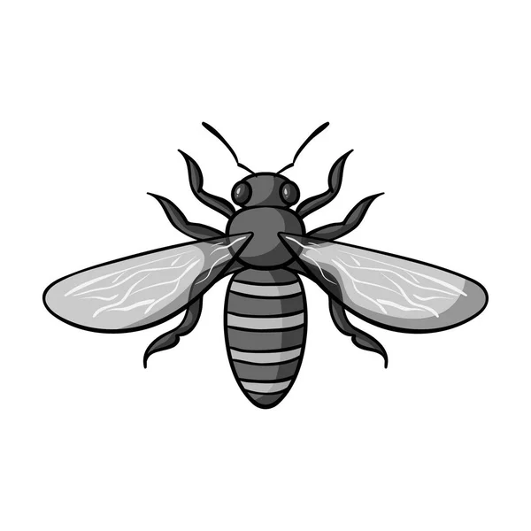 Icono de abeja en estilo monocromo aislado sobre fondo blanco. Ilustración de vector de stock de símbolos de insectos . — Vector de stock