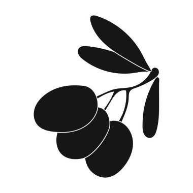 Siyah Zeytin siyah stil beyaz arka plan üzerinde izole şube simgesini. Yunanistan sembol stok vektör çizim.