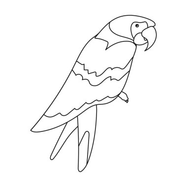 Korsanlar simgesi beyaz arka plan üzerinde izole anahat tarzı papağan. Korsanlar sembol stok vektör çizim.