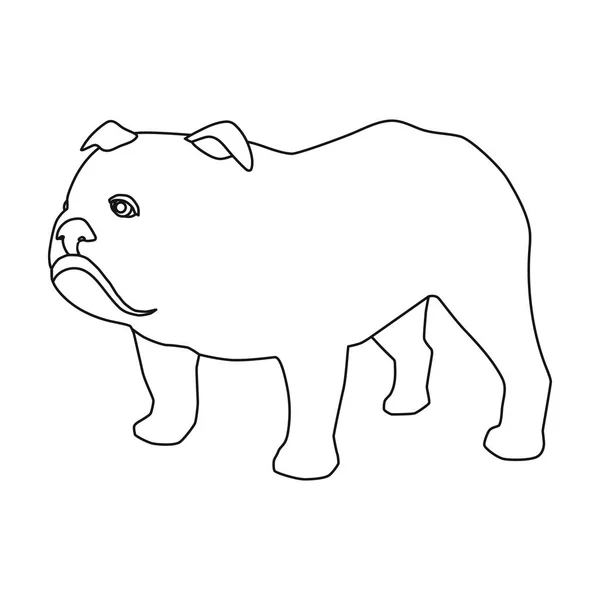 Englische Bulldogge-Ikone im Umrissstil isoliert auf weißem Hintergrund. england country symbol stock vektor illustration. — Stockvektor