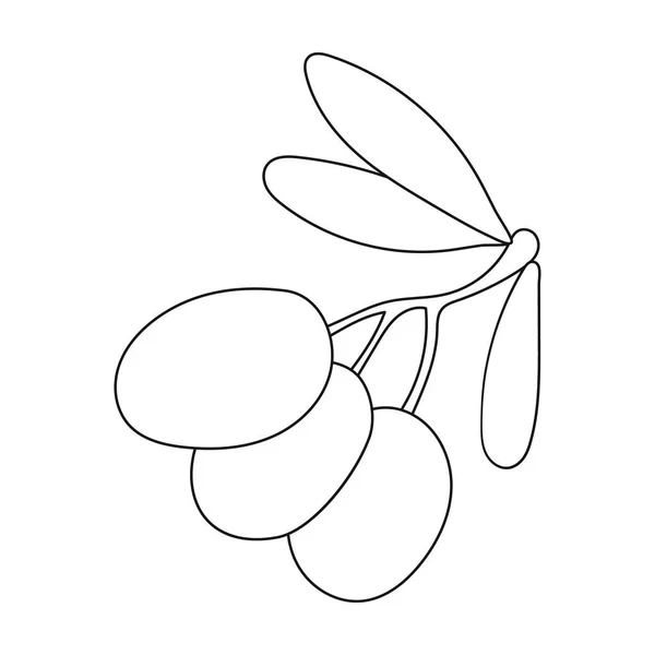 Černé olivy na ikonu větev ve stylu osnovy izolovaných na bílém pozadí. Řecko symbol akcií vektorové ilustrace. — Stockový vektor