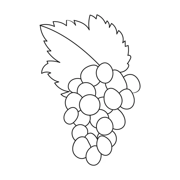 Grappolo d'uva icona in stile contorno isolato su fondo bianco. Grecia simbolo stock vettore illustrazione . — Vettoriale Stock