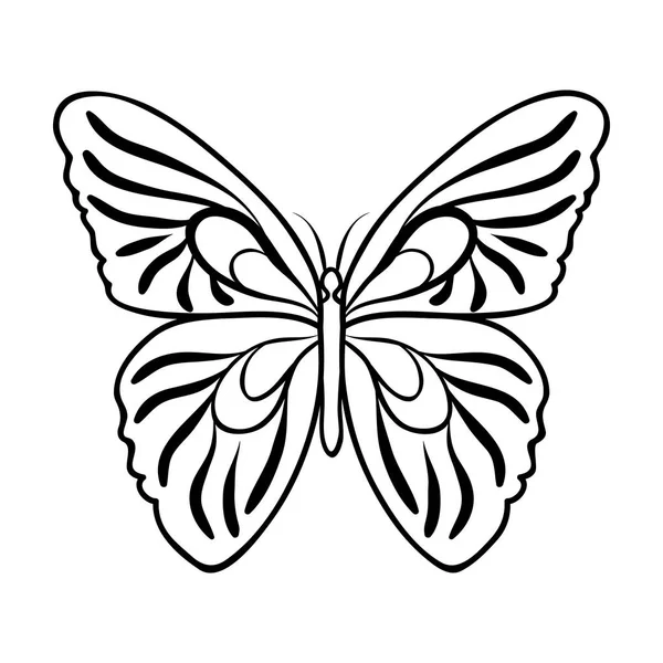 Motýl ikona ve stylu osnovy izolovaných na bílém pozadí. Hmyz symbol akcií vektorové ilustrace. — Stockový vektor
