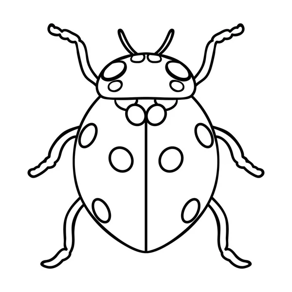 Marienkäfer-Symbol im Umrissstil isoliert auf weißem Hintergrund. Insekten Symbol Aktienvektor Illustration. — Stockvektor