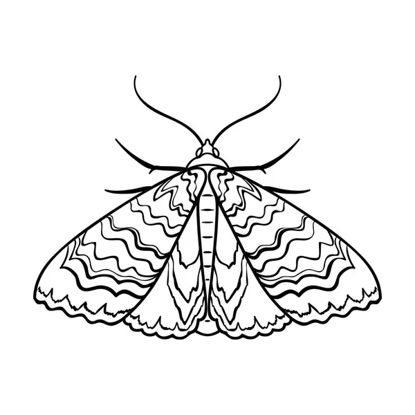 Иконка мотылька в стиле контура выделена на белом фоне. Векторная иллюстрация символов насекомых . — стоковый вектор