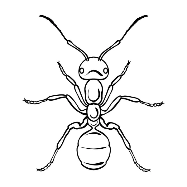 Het pictogram van de mier in kaderstijl geïsoleerd op een witte achtergrond. Insecten symbool voorraad vectorillustratie. — Stockvector